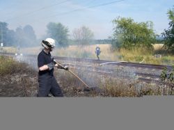 20150704 Großer Flächenbrand L566 Basheide 02